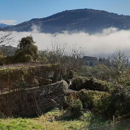 Il Castelnovo *